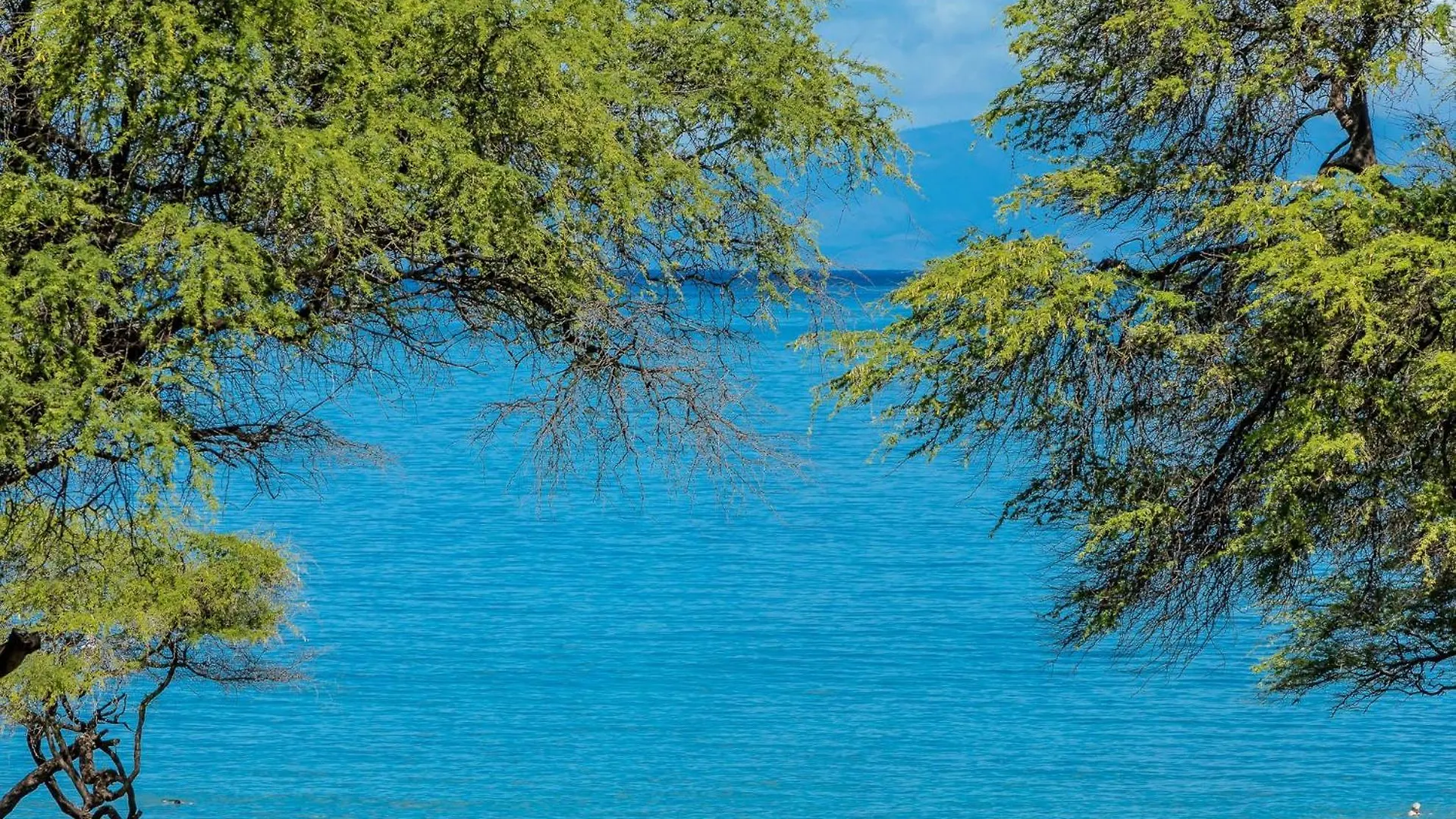 Kamaole Sands Two Bedrooms By Coldwell Banker Island Vacations Wailea  0*, Wailea (Maui)